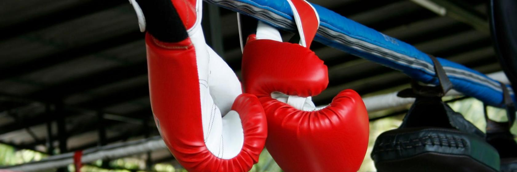 Tiger Muay Thai and MMA Training Camp